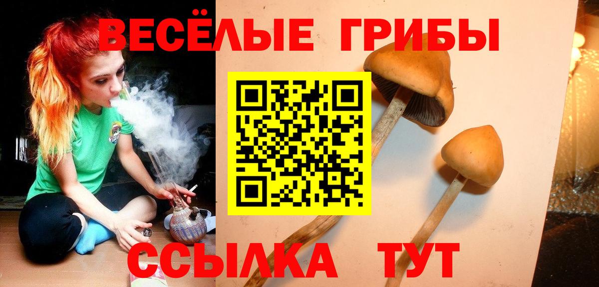Галлюциногенные грибы Magic Shrooms  Галлюциногенные грибы прущие грибы  закладка  Можга  Вход с VPN 
